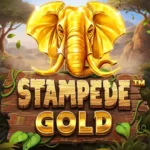 betsoft-stampede-gold